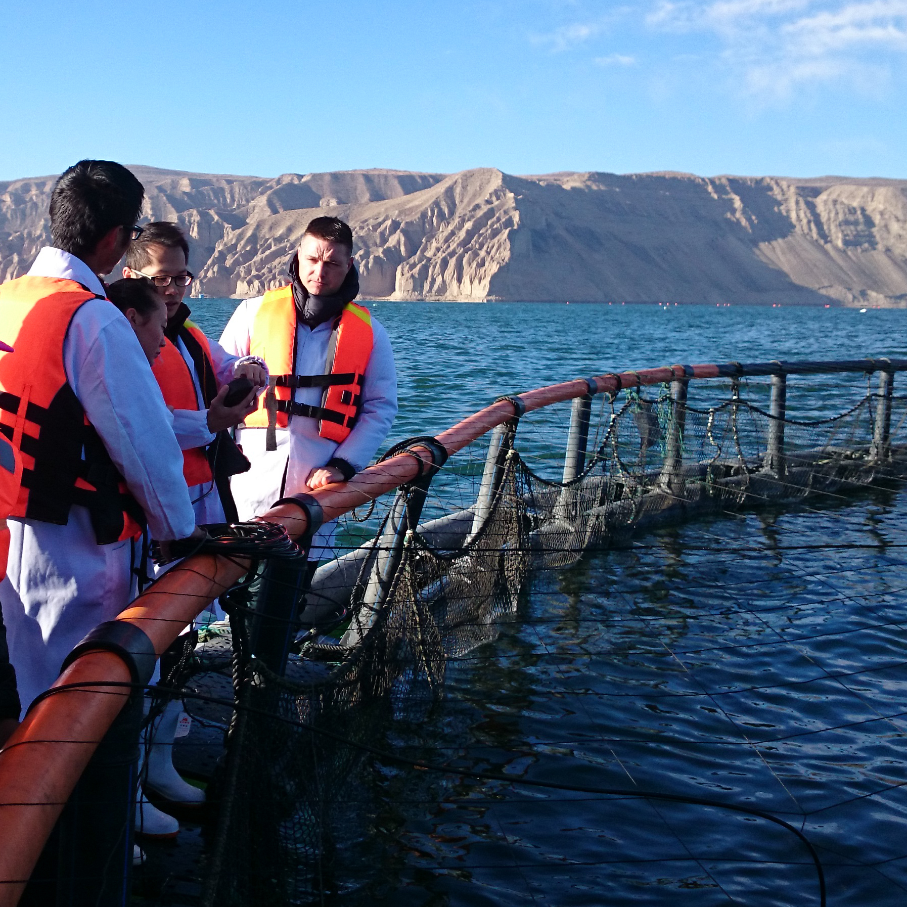 Sea Cage System Design