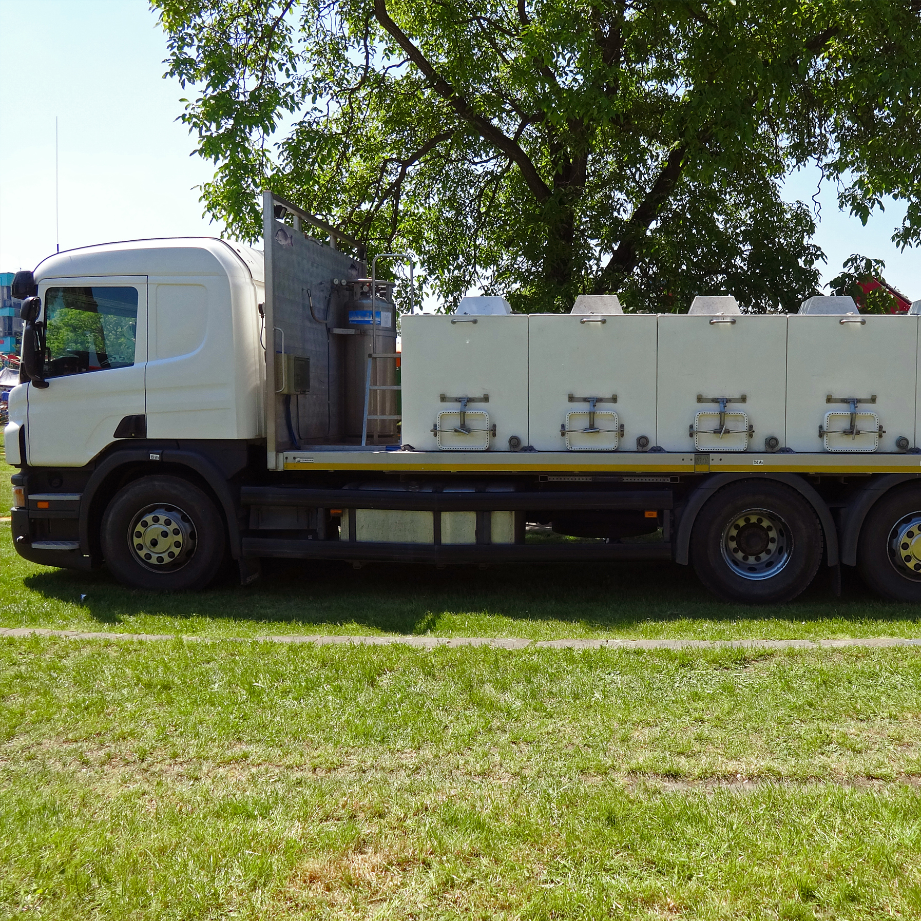 Fish Transport (3)