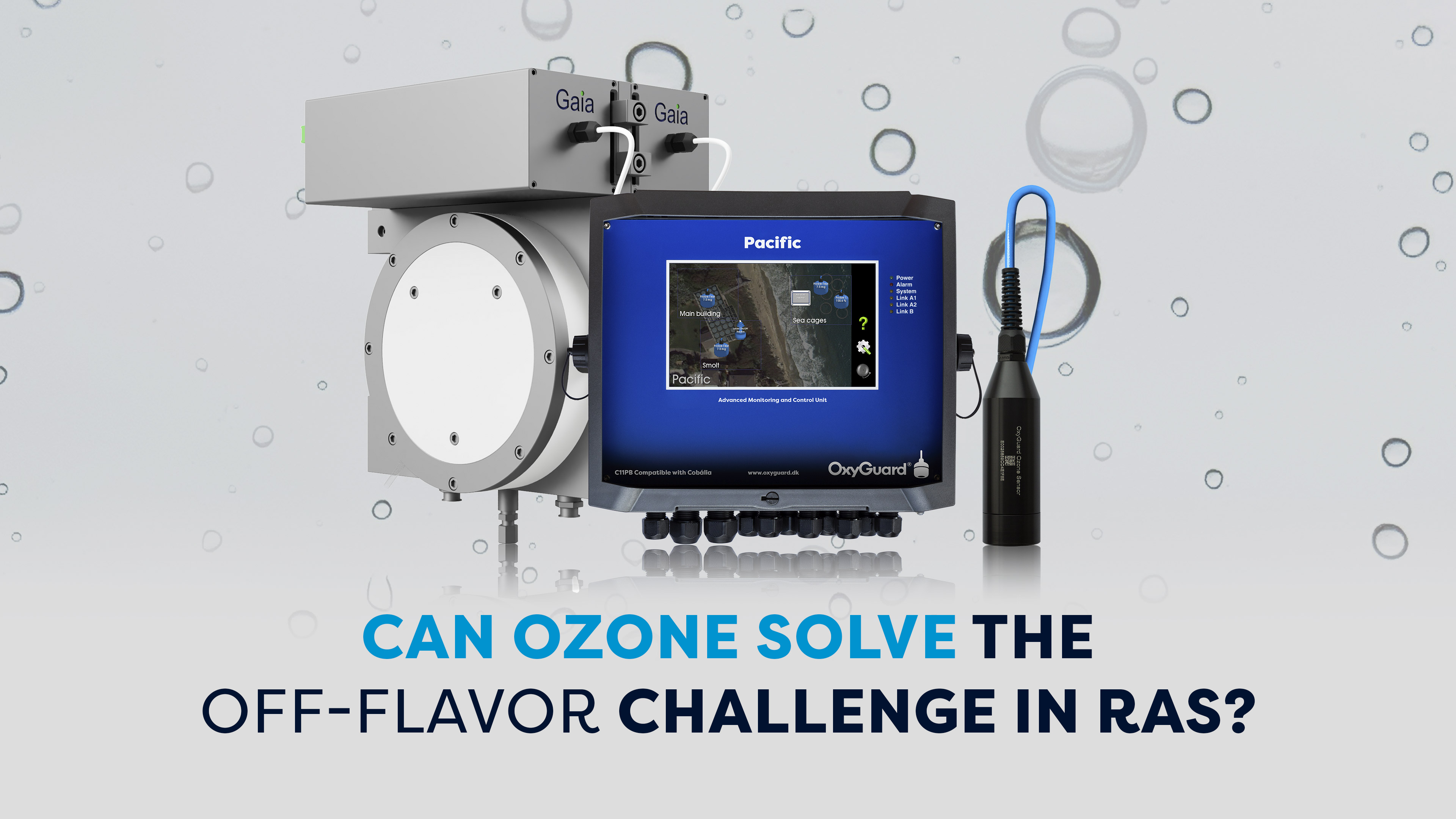 Can Ozone Solve The Off Flavor Challenge In RAS 2 3840X2160px