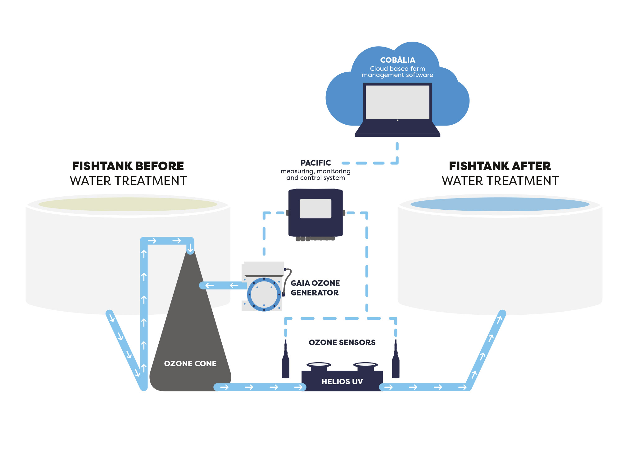 Fishtank before and after ozone treatment