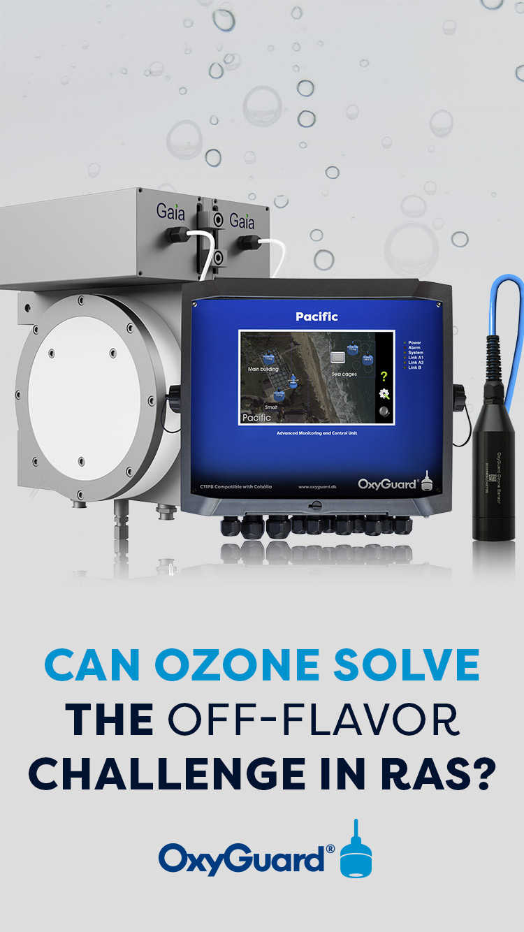 Can Ozone Solve The Off Flavour Challenge In Ras 750X1334px